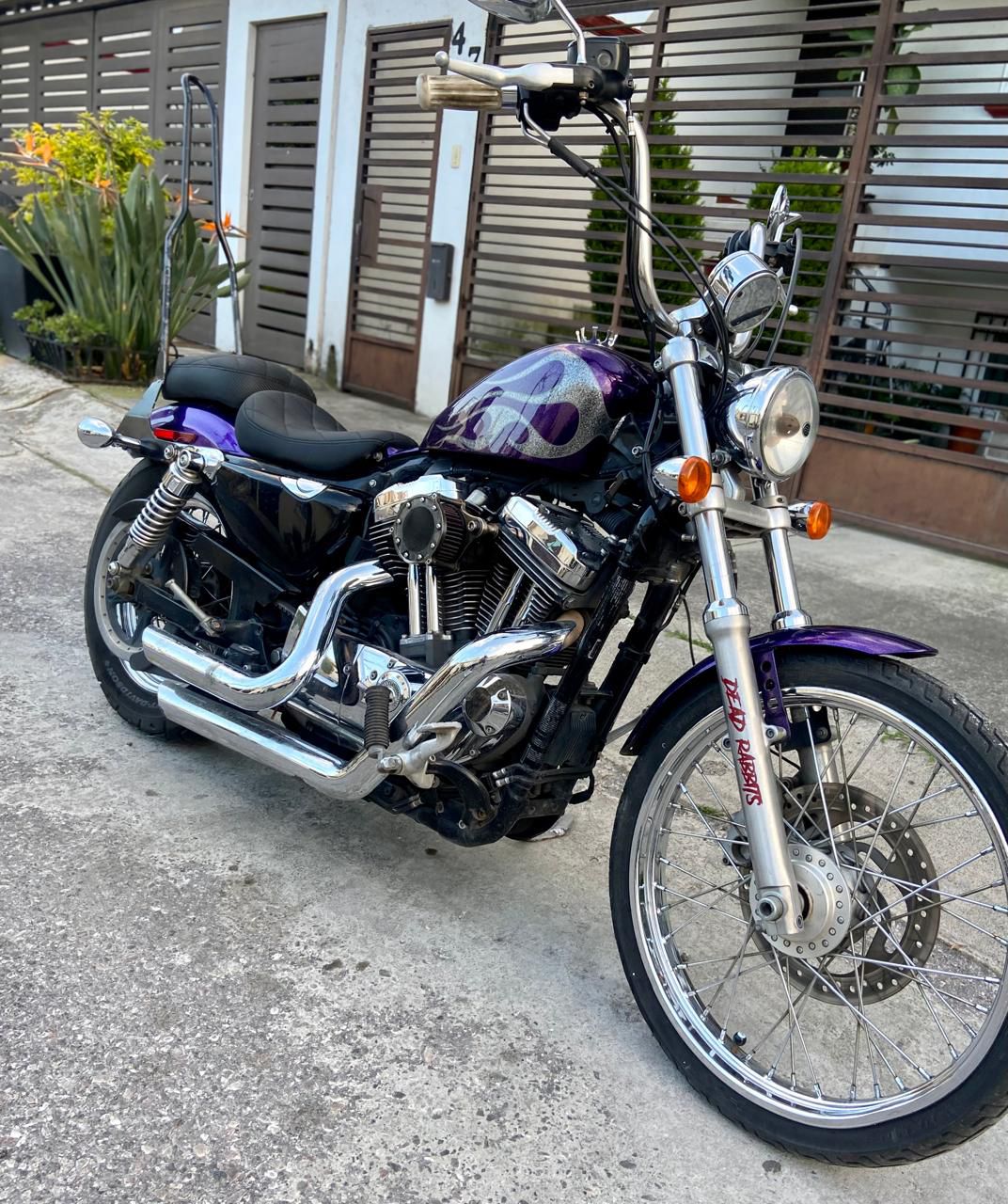 Moto Principal